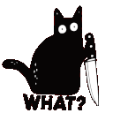 9-what-catq
