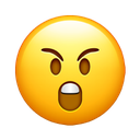 angry shouting