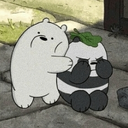 bearprotect_q