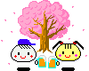beer_cherryblossum