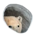 bonjour-bear