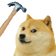 bonk-doge