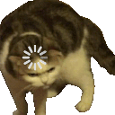 buffercat