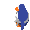 c_penguin1q
