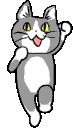 cat-gray-happye