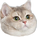 cat_heavy_breathing