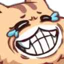 cat_laughq