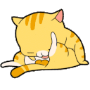 cat_licking_balls