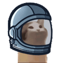 cat_popq