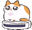 cat-roomba