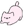 cat_wiggle2q