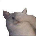 catfacepalmq