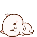 catfalloverq