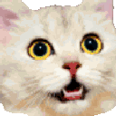 catglasses