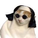 catnun0