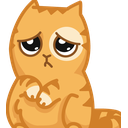 catpleaseq
