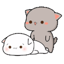 catsexq