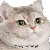 catshake