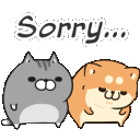 catsorryq