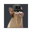 catthugq