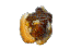 chilidog