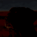 cooked_dog