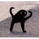 creaturecat