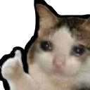 cry-cat-thumbs-up