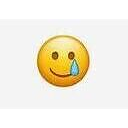 crying_and_smiling