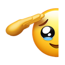 crying saluting