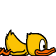 daduckman