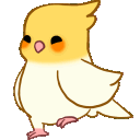 dancerbirdq