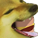 dog_burger_nom