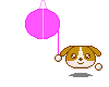 dog_celebration