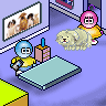 dog_groomer