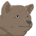 doge_blank_stare