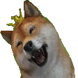 doge-crown-e