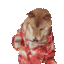 doge-holiday