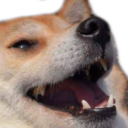 doge-laugh