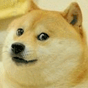 doge-no