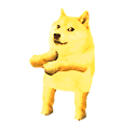 doge_party