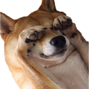 dogecantlookq