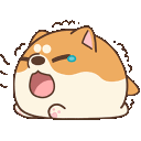 dogeq