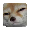 doggo_susq