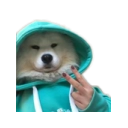 doggopeace