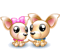 dogs-inlove