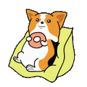 donut-corgi-e