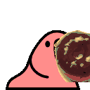 donut_parrot