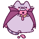 donutkat0