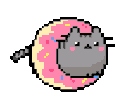 donutpusheenq